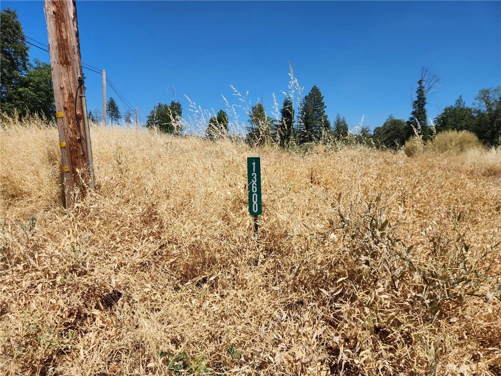Property Photo:  13600 Andover  CA 95954 