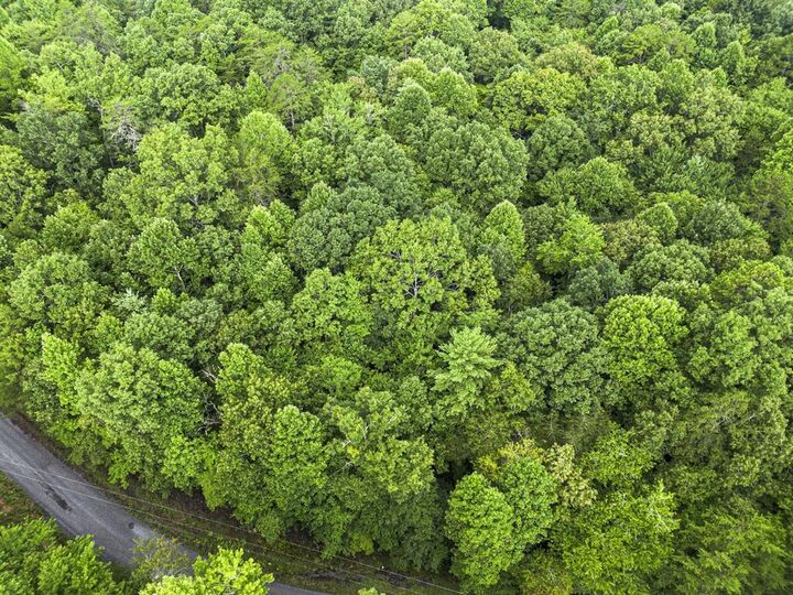 Property Photo:  5.34 Ac Hill Top Circle  GA 30555 