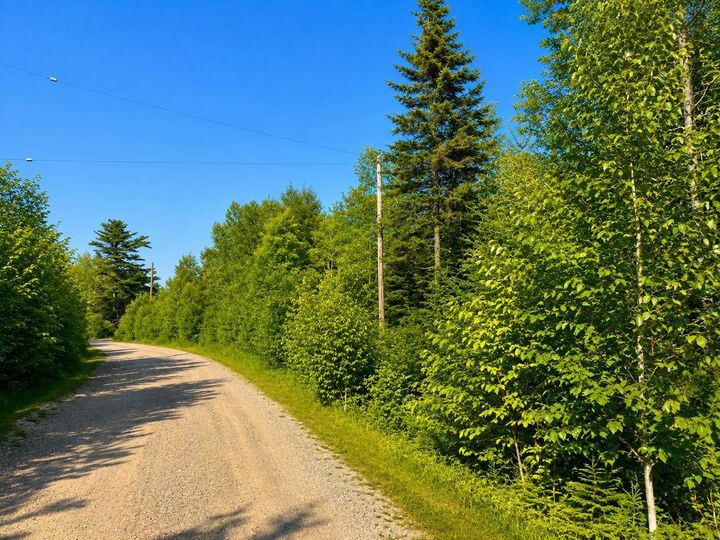 Property Photo:  Lot 37 Marble Mountain Road Redbird Drive  NS B0E 2Y0 