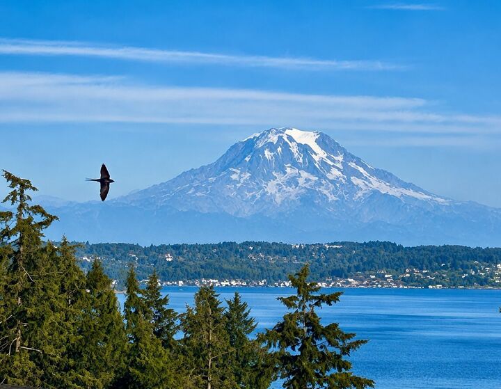Property Photo: 8818 30th Street Ct NW WA 98335