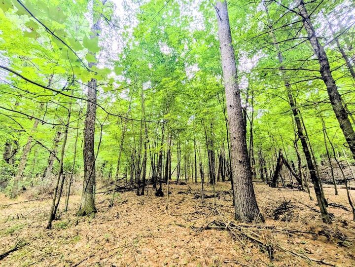 Property Photo: 0 County Road C WI 54613