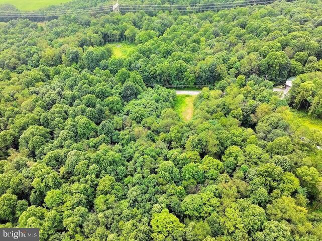 Property Photo:  Lot 29 Weaver Woods Road  PA 16678 