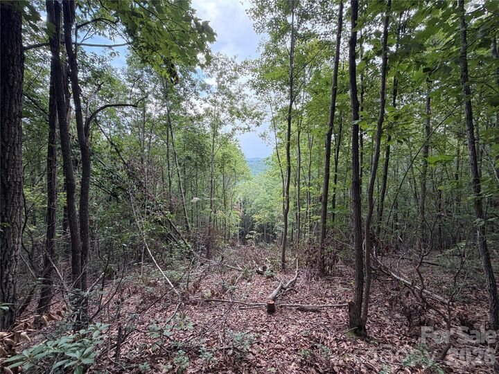 Property Photo:  69 Idlewild Drive  NC 28018 