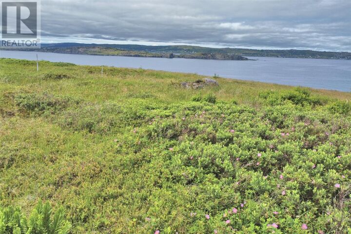 Property Photo:  Lot 3 Lighthouse Road  NL A0A 3J0 