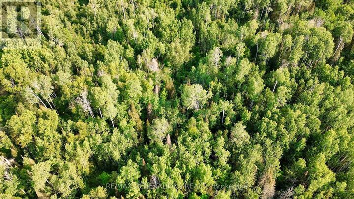 Property Photo:  263 Cloud River Road East  ON P7L 0A9 