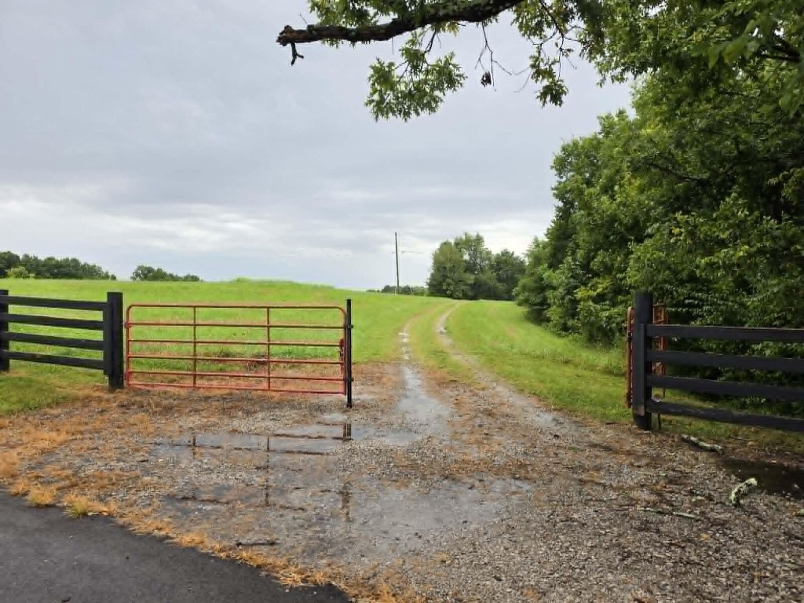 Property Photo: 811 Hickory Ridge Road KY 40076