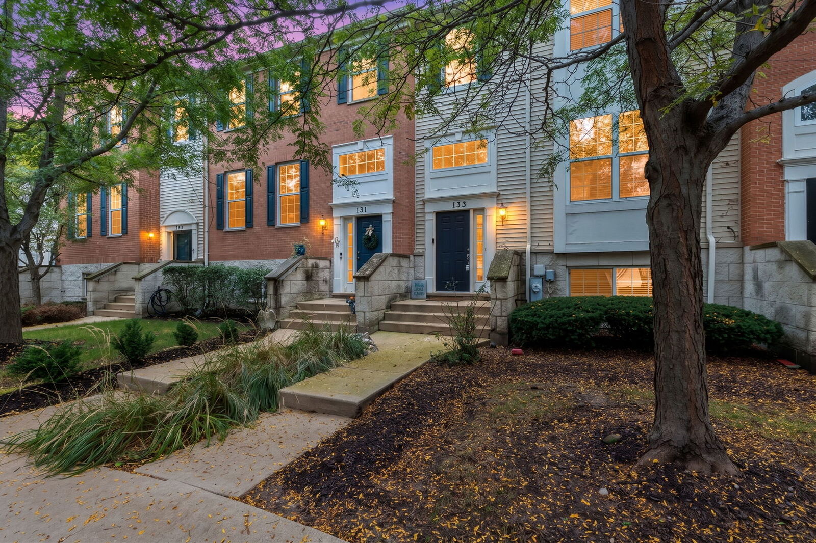 Property Photo: 133 Willey Street IL 60136