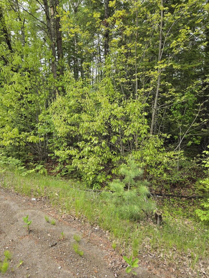 Property Photo: Lot 81-1 Lower Detroit Road ME 04969