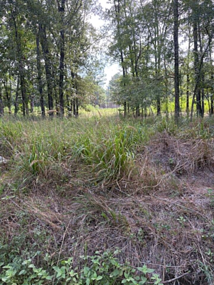 Property Photo:  R(2)155685 Miles Road  TX 75901 