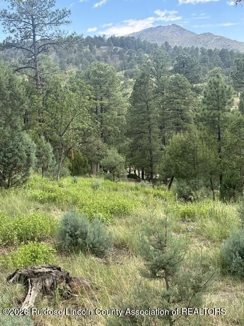 Property Photo: Lot 4 Alto Drive NM 88312