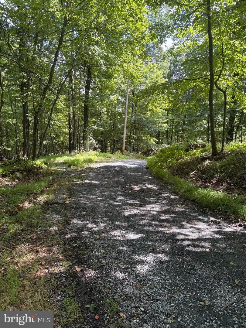 Property Photo: Little Rock Road MD 21701