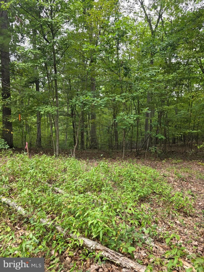 Property Photo: Pink Dogwood Lane WV 25427