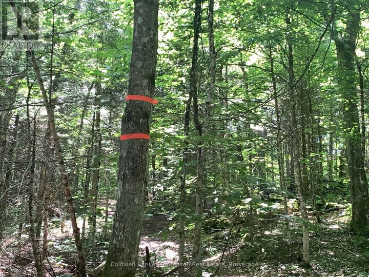 Property Photo:  N/A Trail  ON P1L 1X3 