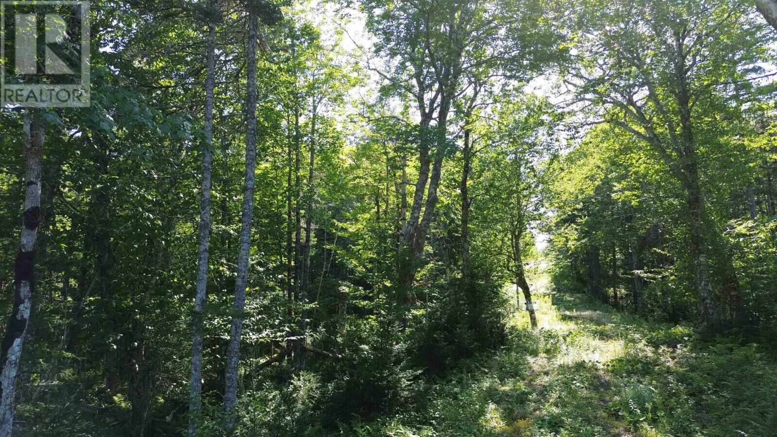 Property Photo: Condons Lake Drive NS B0E 3B0