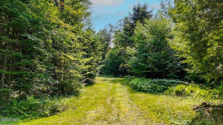 Property Photo: L59 Horseshoe Pond Road NY 12870