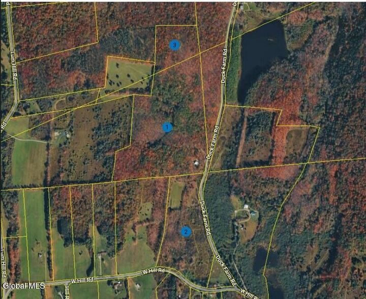 Property Photo:  149 Duck Farm Road  NY 12197 