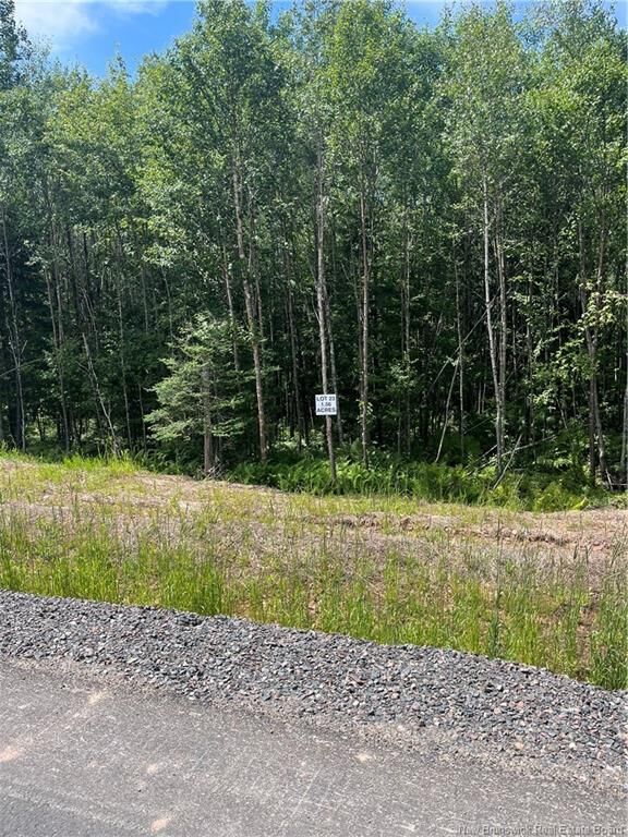 Property Photo:  Lot Cedarwood Drive  NB E5N 7K6 