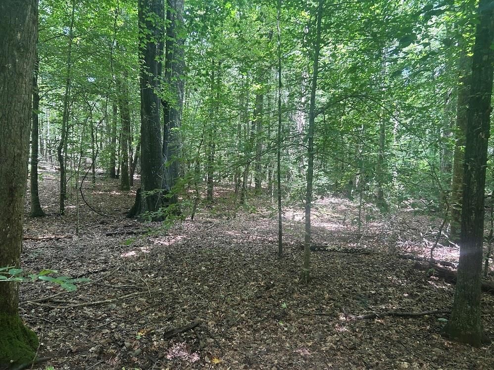 Property Photo:  111 Riversong (Tract 26)  GA 30117 