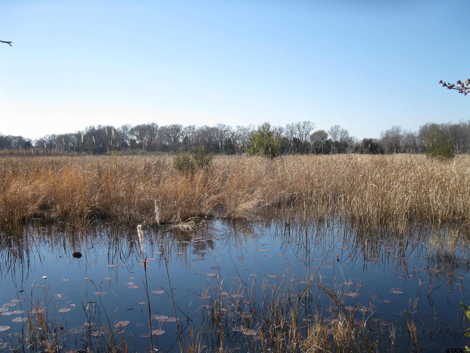 Property Photo:  Tbd 133+/- Acres County Road 4701  TX 75754 