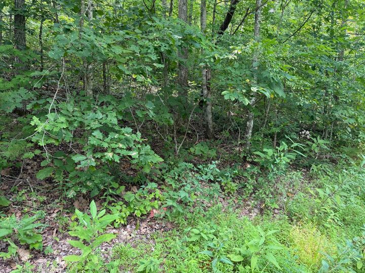 Property Photo: 9 Tucker Hollow Road KY 42633