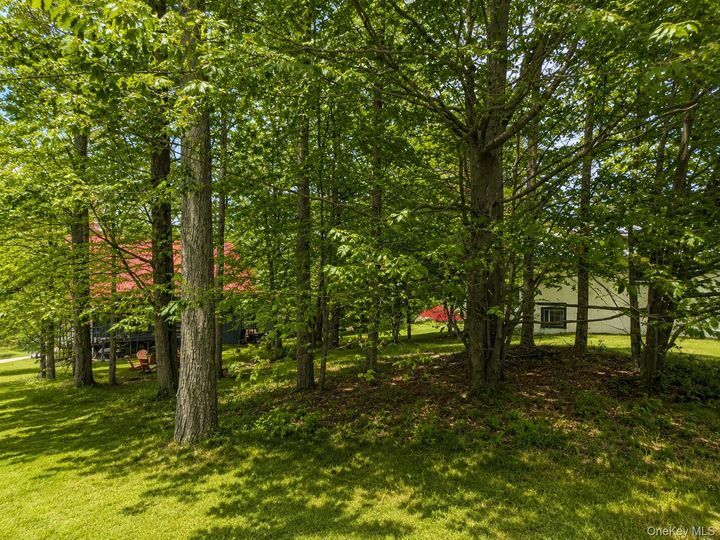 Property Photo:  0 Timber Hill Lane  NY 12779 