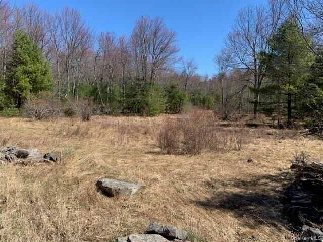 Property Photo: 255 Wild Turnpike NY 12775