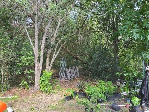 Property Photo: 720 S Fairlane Terrace FL 34461