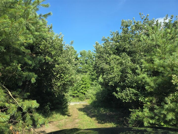 Property Photo: 14773 180th Avenue MI 49346