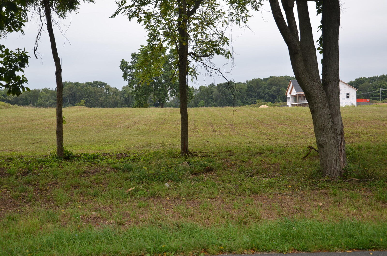 Property Photo:  11415 E D Avenue  MI 49083 