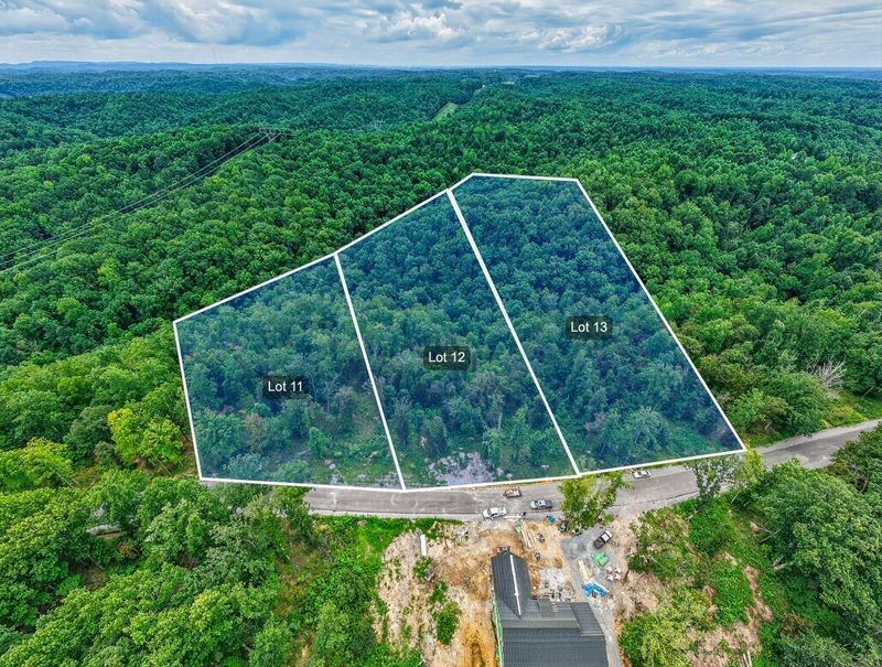 Property Photo:  0 Falling Timber Drive  TN 37143 
