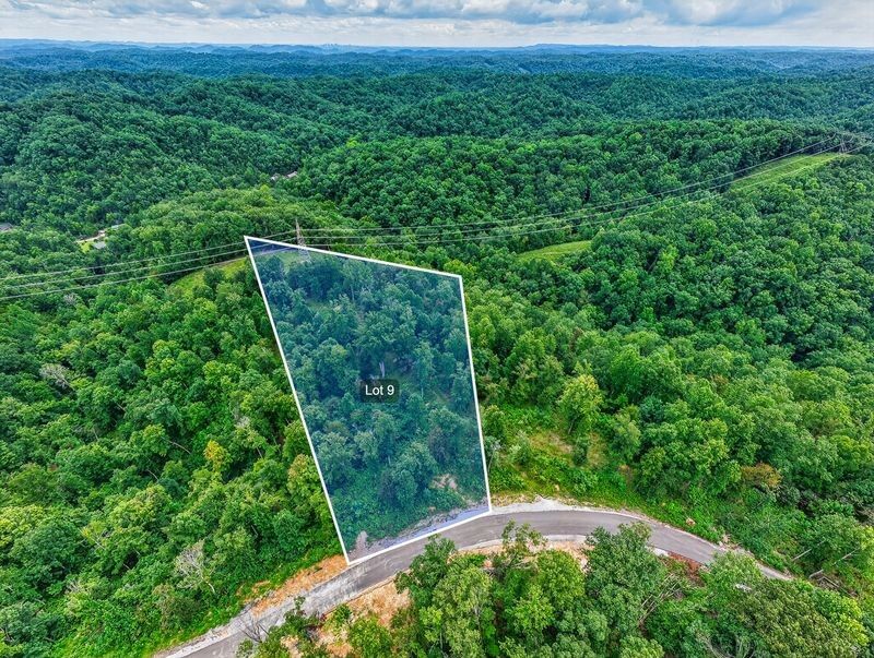 Property Photo:  0 Falling Timber Drive  TN 37143 