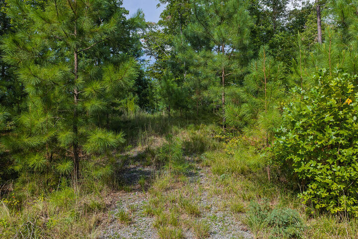 Property Photo:  Lot 159R Harris Creek Drive  GA 30540 