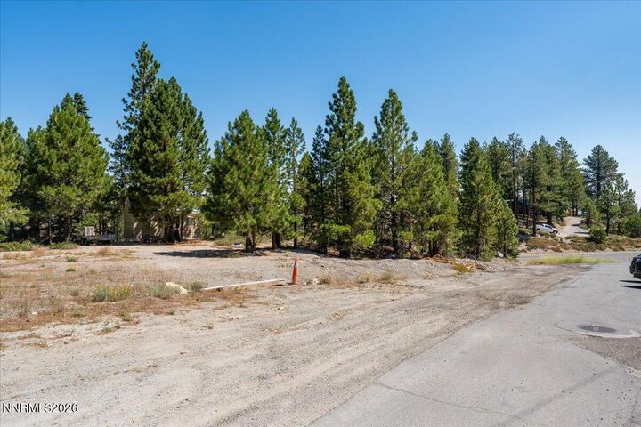 Property Photo:  1025 Sky Tavern Road  NV 89511 