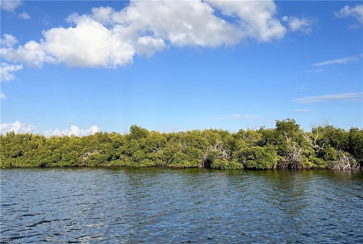 Property Photo:  Indian Field Key + Island 1  FL 33922 