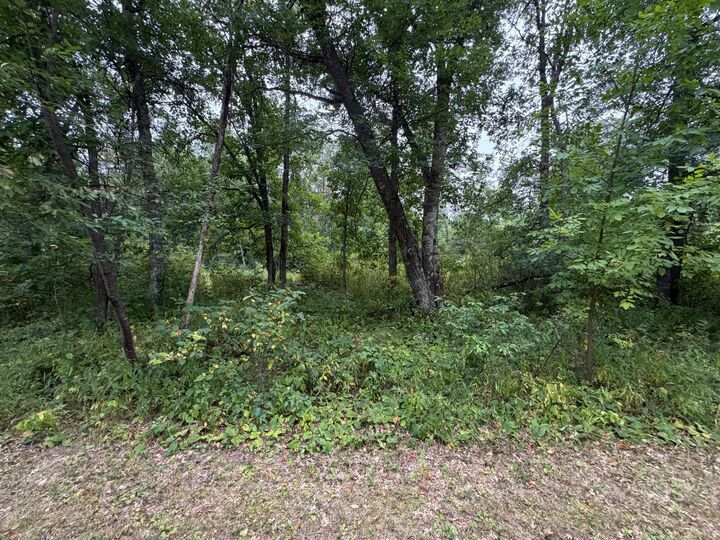 Property Photo: Lot 1 Whitetail MN 56441