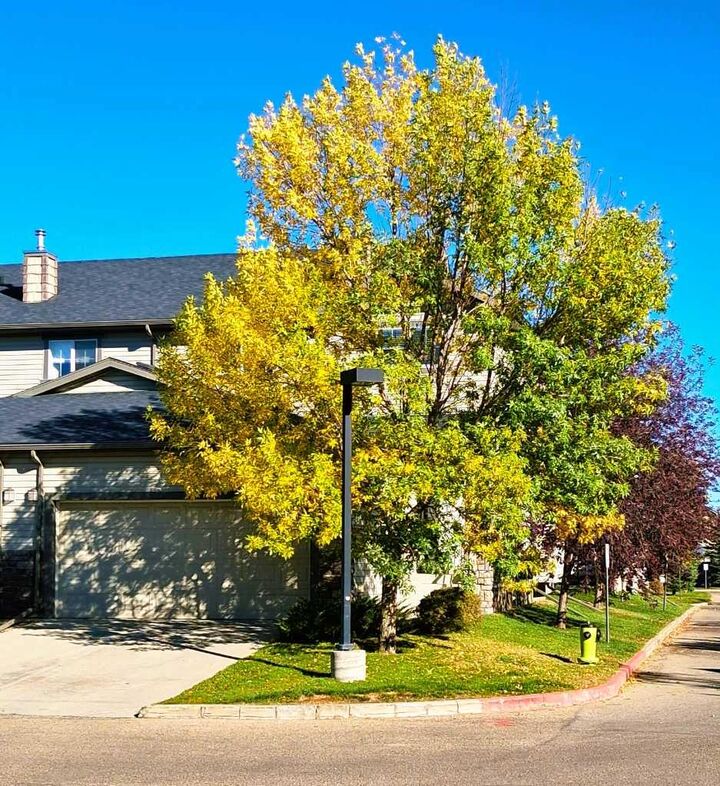 Property Photo:  301 Ranch Ridge Meadow  AB T1P 0A9 