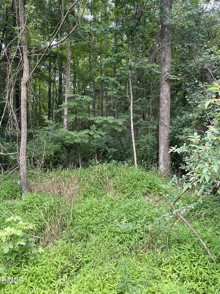 Property Photo: 00 Pleasant Hill Church Road NC 27344