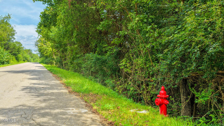 Property Photo: 00 Burlington Road TN 37642