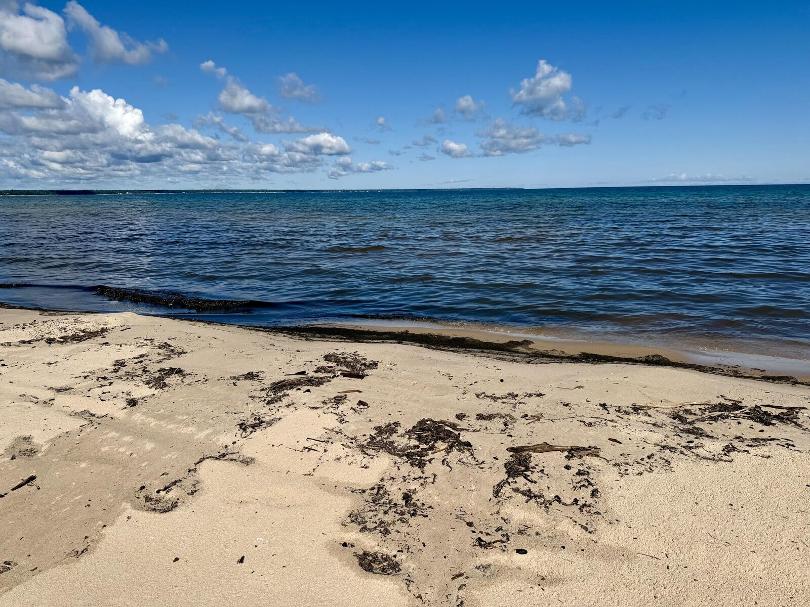 Property Photo: V/L Ray Drive MI 49759