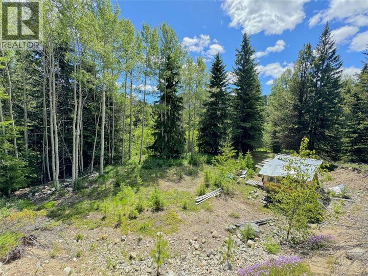Property Photo:  Lot 4 Princeton Summerland Road  BC V0X 1W0 