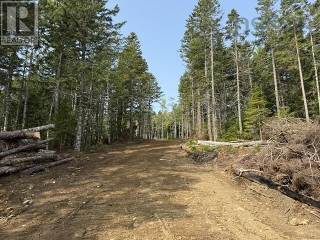 Property Photo:  Lot 12 Island View Drive  NS B4V 6L3 