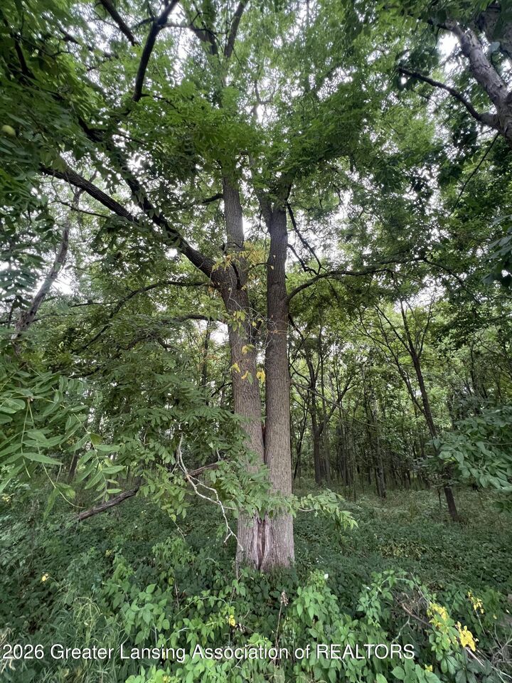 Property Photo:  0 M-50  MI 48827 