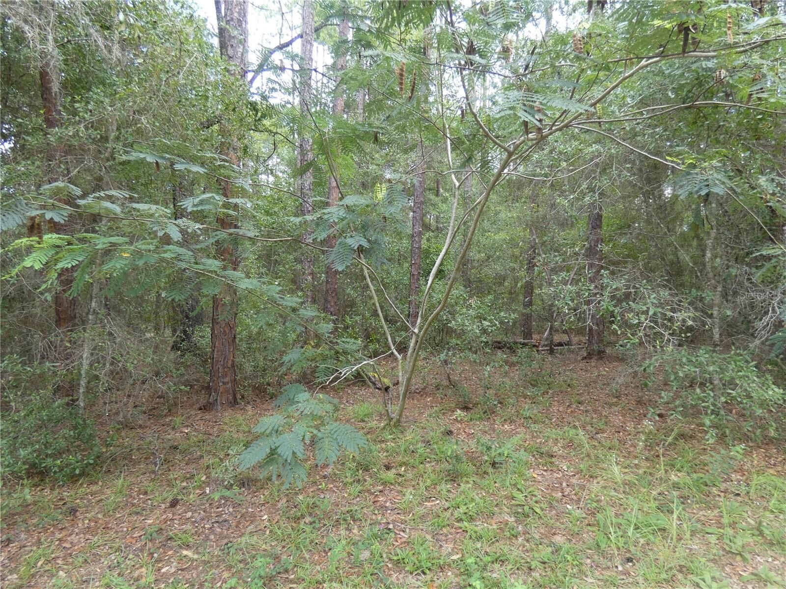 Property Photo:  10049 N Biscayne Drive  FL 34434 
