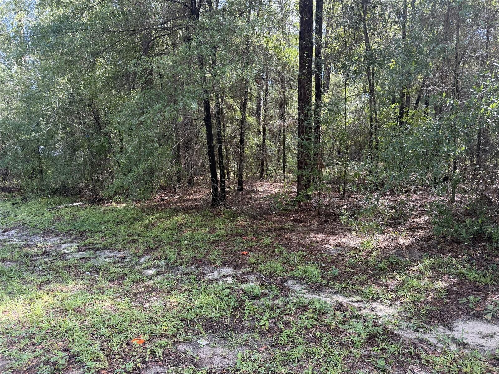 Property Photo: 10049 N Biscayne Drive FL 34434