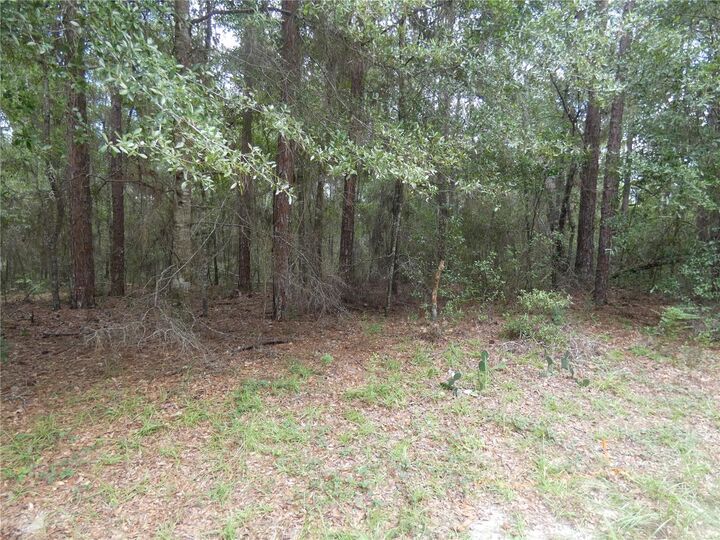 Property Photo:  10075 N Biscayne Drive  FL 34434 