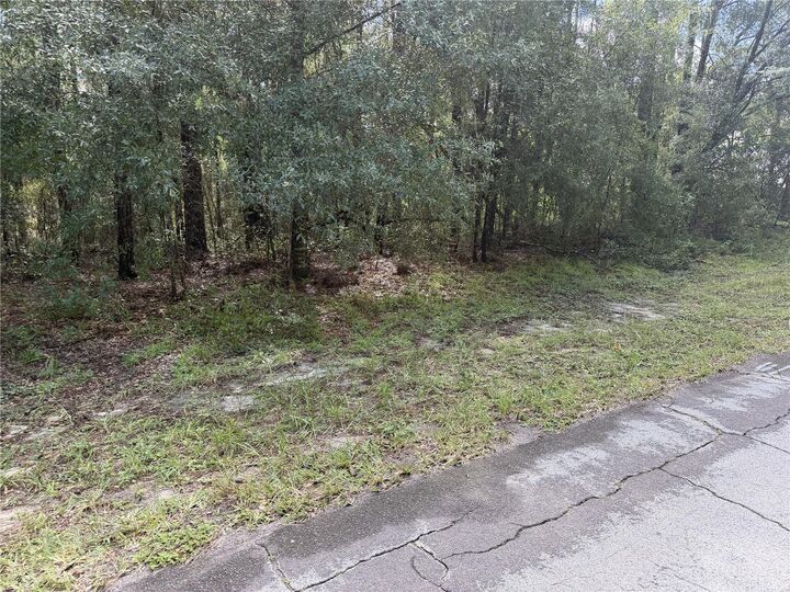 Property Photo:  10075 N Biscayne Drive  FL 34434 