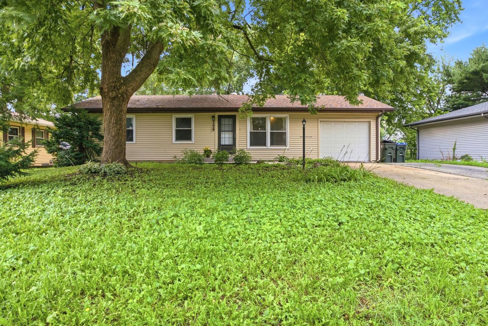 Property Photo: 129 Dolores Street IL 60543