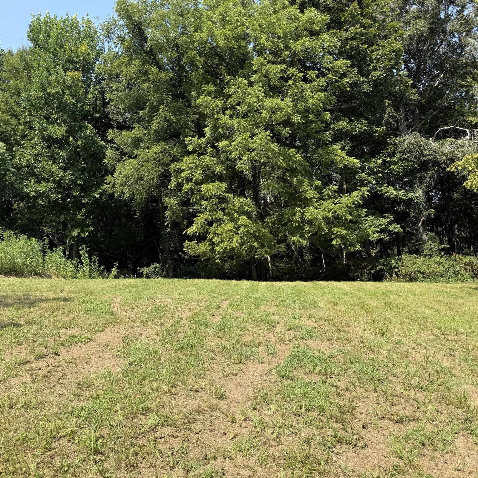 Property Photo:  0 N College St  TN 37150 