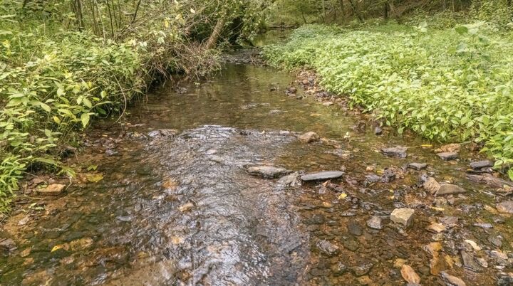 Property Photo:  0 Weakley Creek Road  TN 38464 