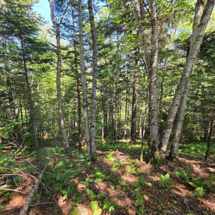 Property Photo:  72 North Greville Road  NS B0M 1S0 